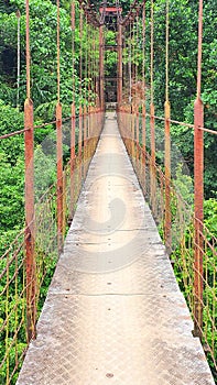 Village cable bridge to forest old bridge