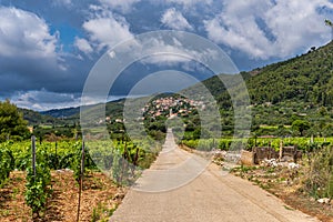 Village of Cara in green island landscape, Korcula island in Dalmatia, Croatia photo