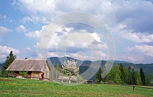 Village in carpathian mountain