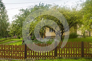 Village in Carpathians in auturmn