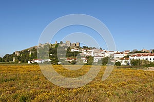 Village and castle of Montemor o velho, Beiras photo