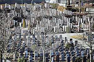 Village cemetery with neatly aligned tombstones