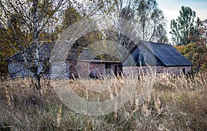 Village in Chernobyl zone