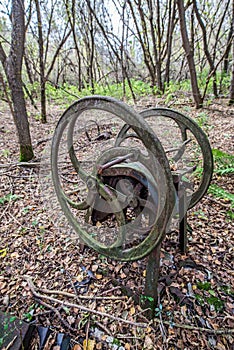 Village in Chernobyl zone