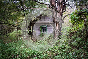 Village in Chernobyl zone