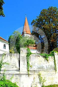 Village Cincu-Grossschenk, Sibiu county, Transylvania, Romania.