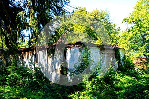 Village  Cincu-Grossschenk, Sibiu county, Transylvania, Romania.