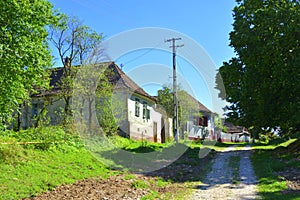 Village in Cincu-Grossschenk, Sibiu county, Transylvania, Romania.