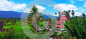 Village with a classic mosque from West Sumatera