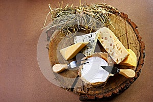Village composition of cheese from hay to tree, cheese with blue mildew, Camembert or brie cheese circle, Cheese Serving Knife. to