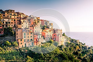 Village of Corniglia in Cinque Terre