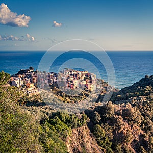 Village of Corniglia in Cinque Terre