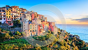 Village of Corniglia in Cinque Terre