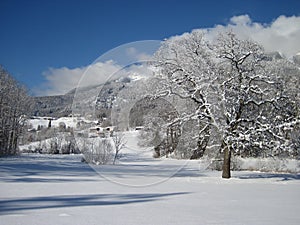 Village covered by snow. Piding Germany