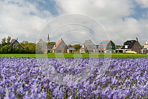 Village Den Hoorn at Dutch Texel