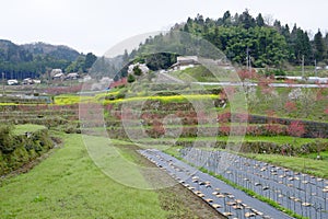 Village of depopulation in Shimane ounau-machi.