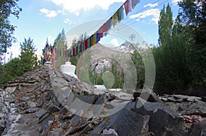 The village of Diskit in Ladakh, India