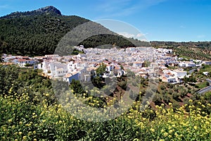 Village of El Gastor, Cadiz province, Andalusia, Sapain photo