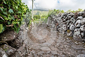 Village in FajÃ£ Grande on the island of Flores in the Azores, Portugal