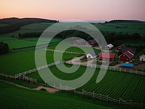 Village farm, machinery, animals, dusk, landscape, aerial photography