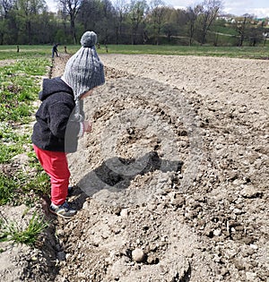 In the village on the field, a girl plants potatoes with her mother