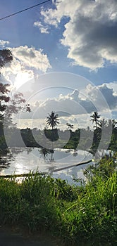 Village fields clouds sun lake mirror trees palmtrees siluet silhouette