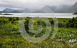 Village on the fjord with a pier in Norway. Cloudy day