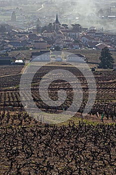 The village of Fleurie, in Beaujolais region