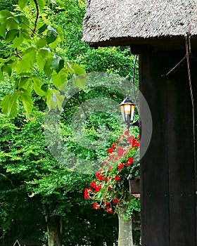 #village #flowers #exterior #rustic