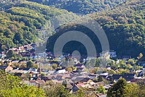 A village with forest nearby surrounded by greenery