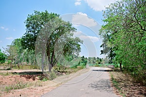 village forest road nature view point