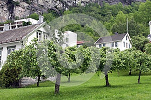 Village Geiranger, Geiranger fjord, Norway.