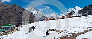 Village in Gokyo valley in Himalayas, Nepal