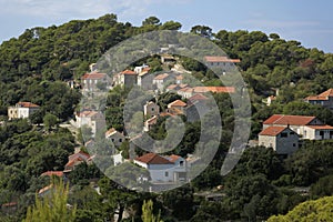 Village GoveÄ‘ari on Mljet island