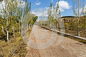 Village gravel road in the mountains in trees along the road