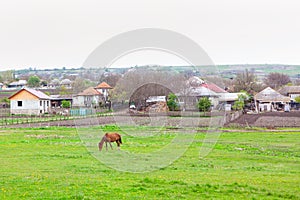 Village with grazing horse