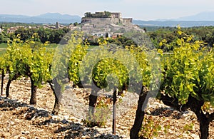 Village of Grignan behind the vineyards, France