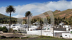 Village of Haria, Lanzarote photo