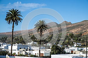 Village of Haria in Lanzarote photo