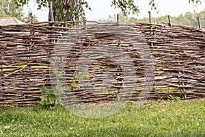 In village high wicker fence in traditional style next to a bush of red currant, behind a fence a birch, selective focus