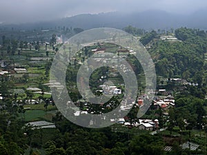 The village is on a hill among a forest of pine trees