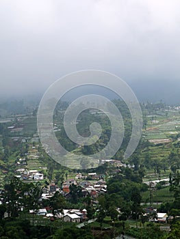 The village is on a hill among a forest of pine trees