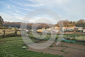 Village in a hill at Nilgiri forest Ooty. Landscape of Ooty Tamil nadu India