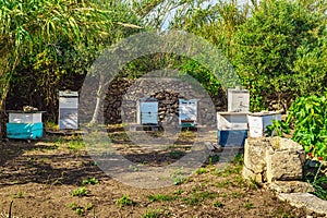 Village hive in the garden of a greek island