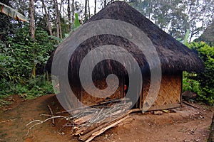 Village house with firewood at rural area