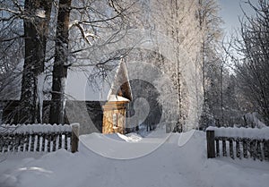 Village house in winter near trees under frost and snow on sunny day