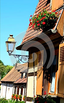 A village house with wooden windows decorated with flowers and plants