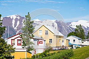 Village of Hrisey in Iceland on a summer day