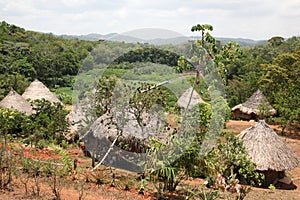 Village of indigenous people, central America photo