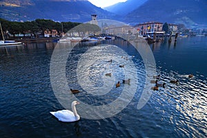 Village on Iseo Lake in Italy